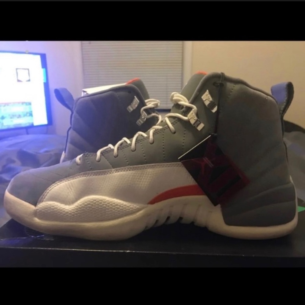 air jordan retro 12s